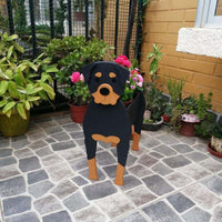 Rottweiler