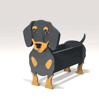Dachshund - Black and Tan
