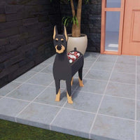 Doberman Pinscher
