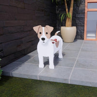 Jack Russell Terrier